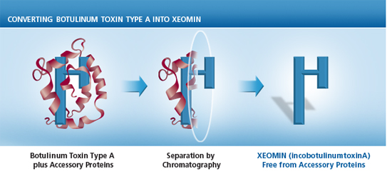 Xeomin Graphics xeomin-vs-Botox graphic – BuildMyHealth