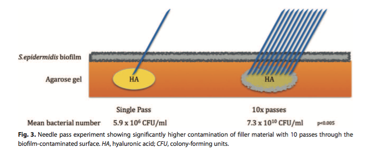 biofilm