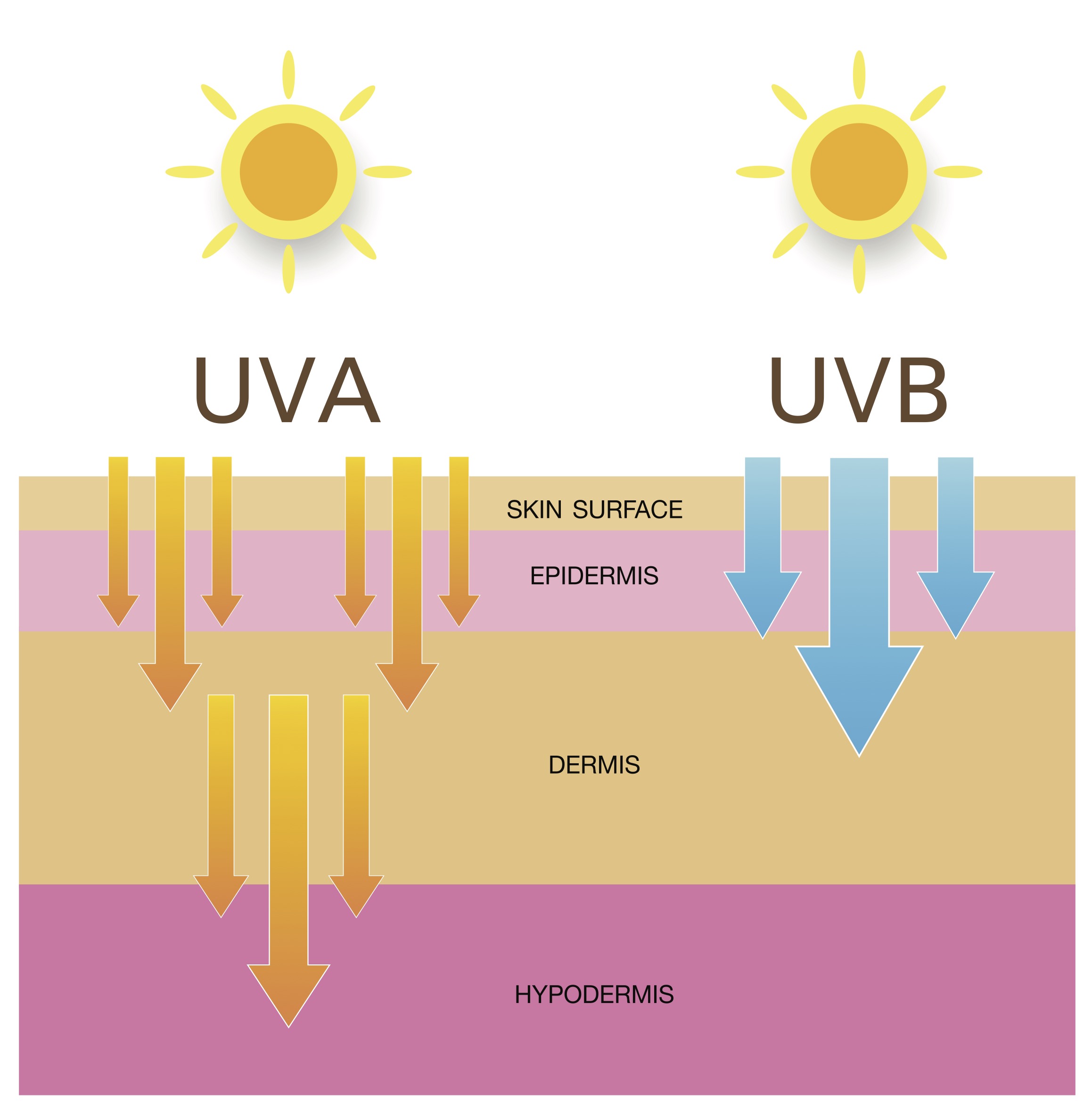 UV rays